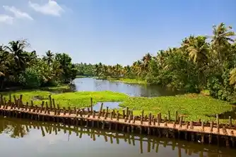 TEFL Course Kerala