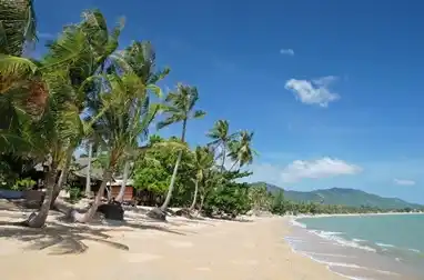 TEFL Course Koh Samui